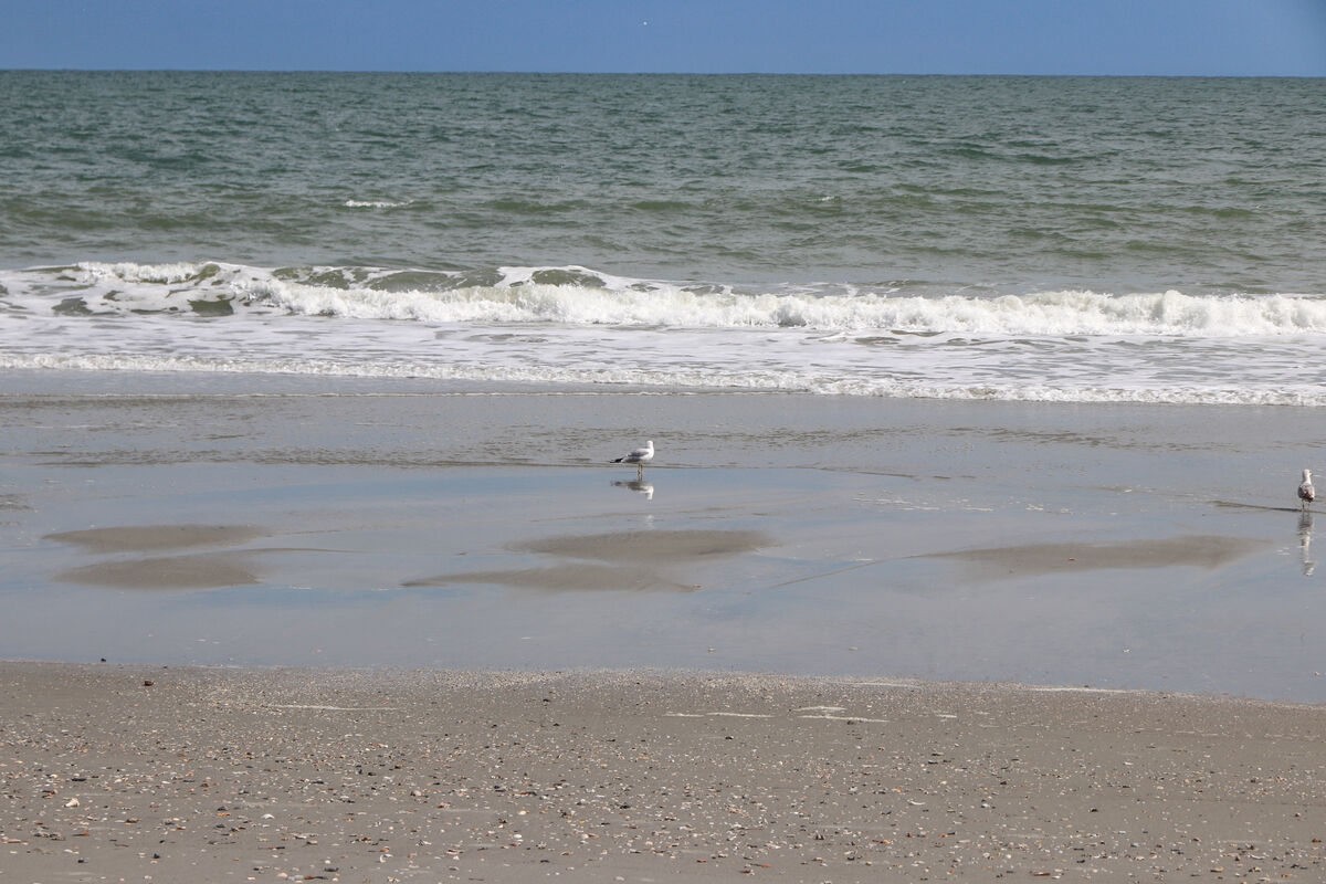 2018 Surfside Beach 2 Some more shots from our visit to Surfside Beach