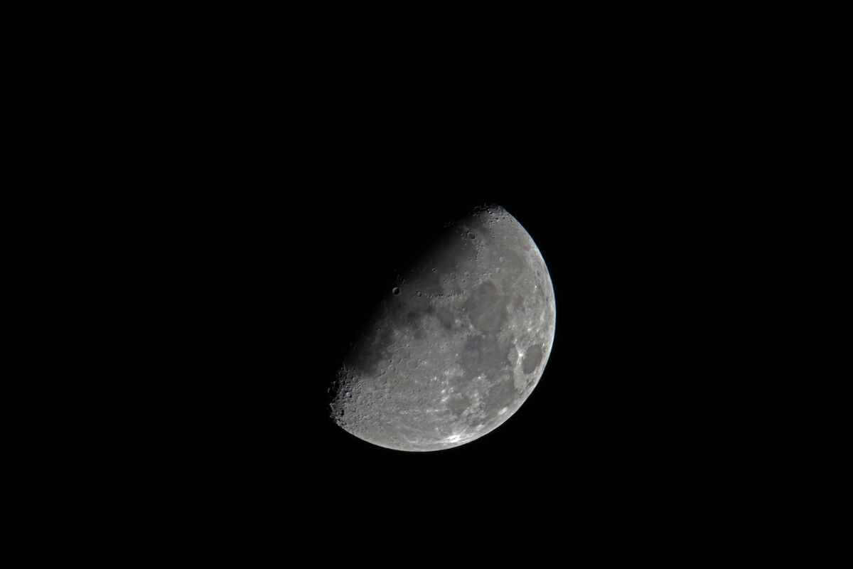 The waning half Moon, as seen from my backyard - S...