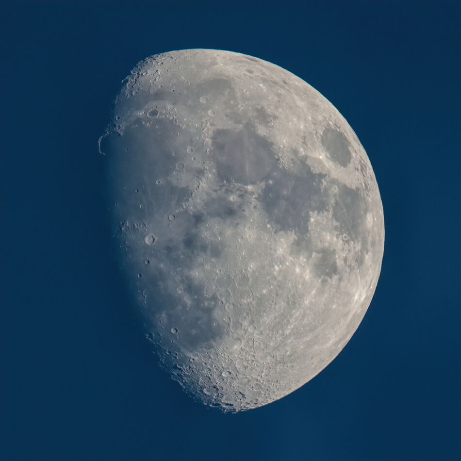 This afternoon, 150-600mm w/2xIII...