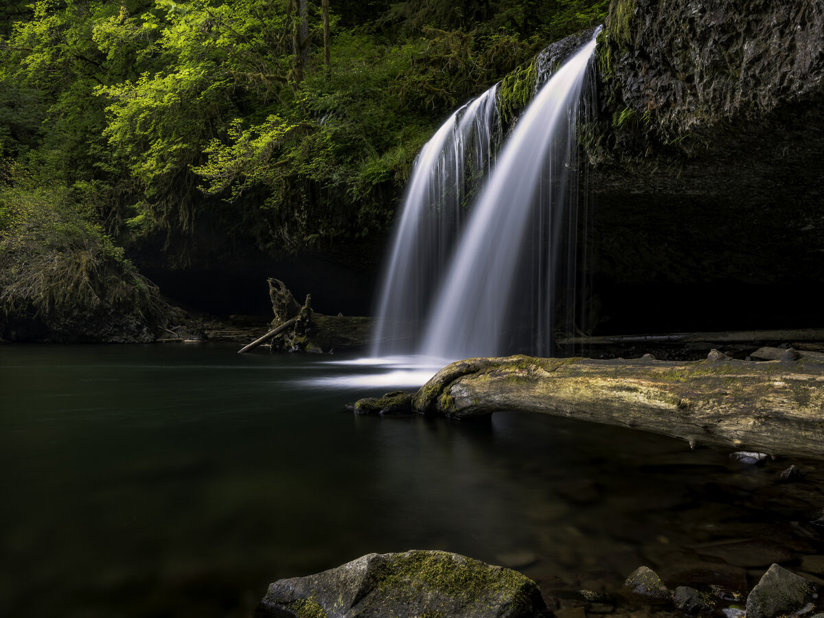 Upper Butte Creek Falls near Scotts Mills, Oregon...