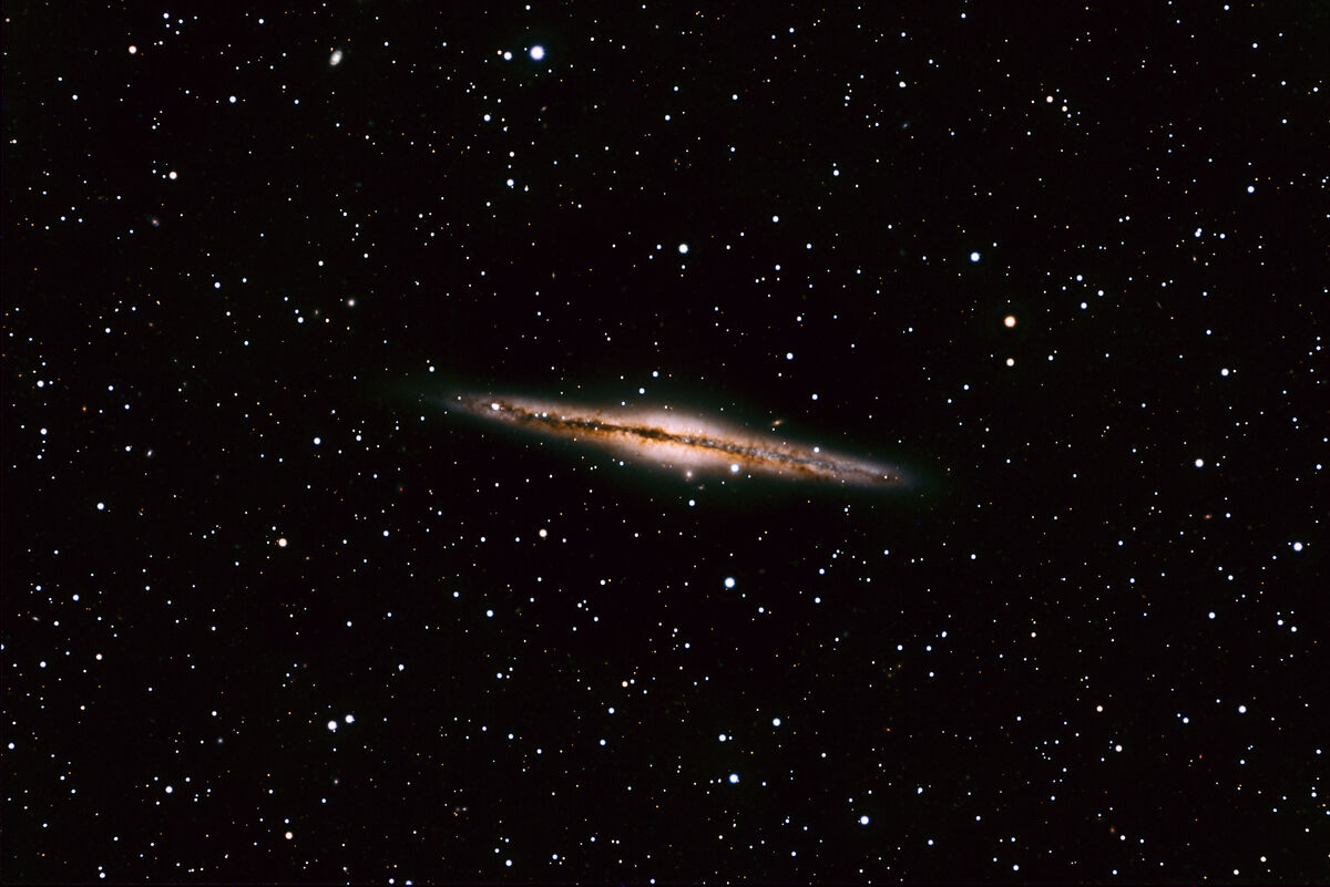 LRGB image of NGC 891 (total exposure time 12 hour...