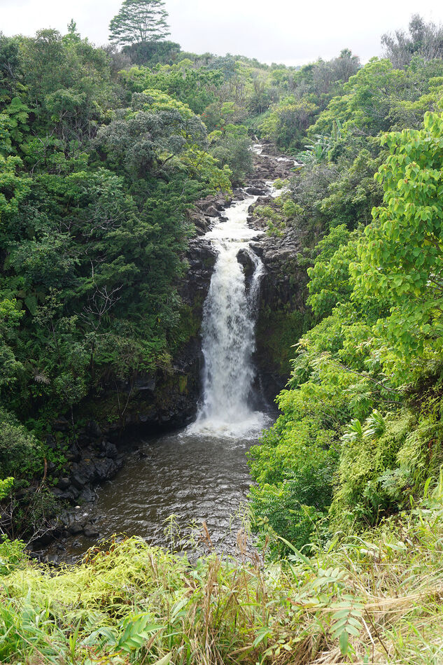 Kamaee Falls near Hakalau, the Big Island, Hawaii ...