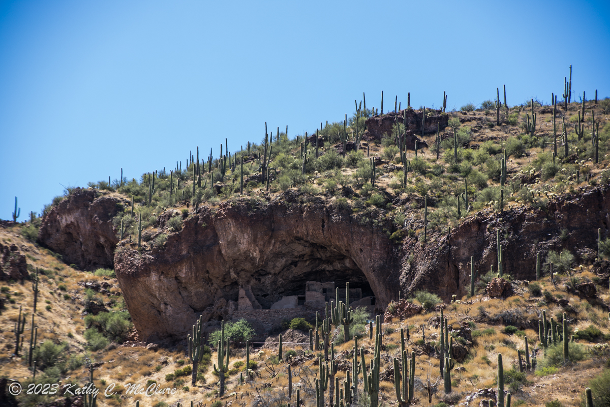 This is saguaro country!  A Salado cliff dwelling ...