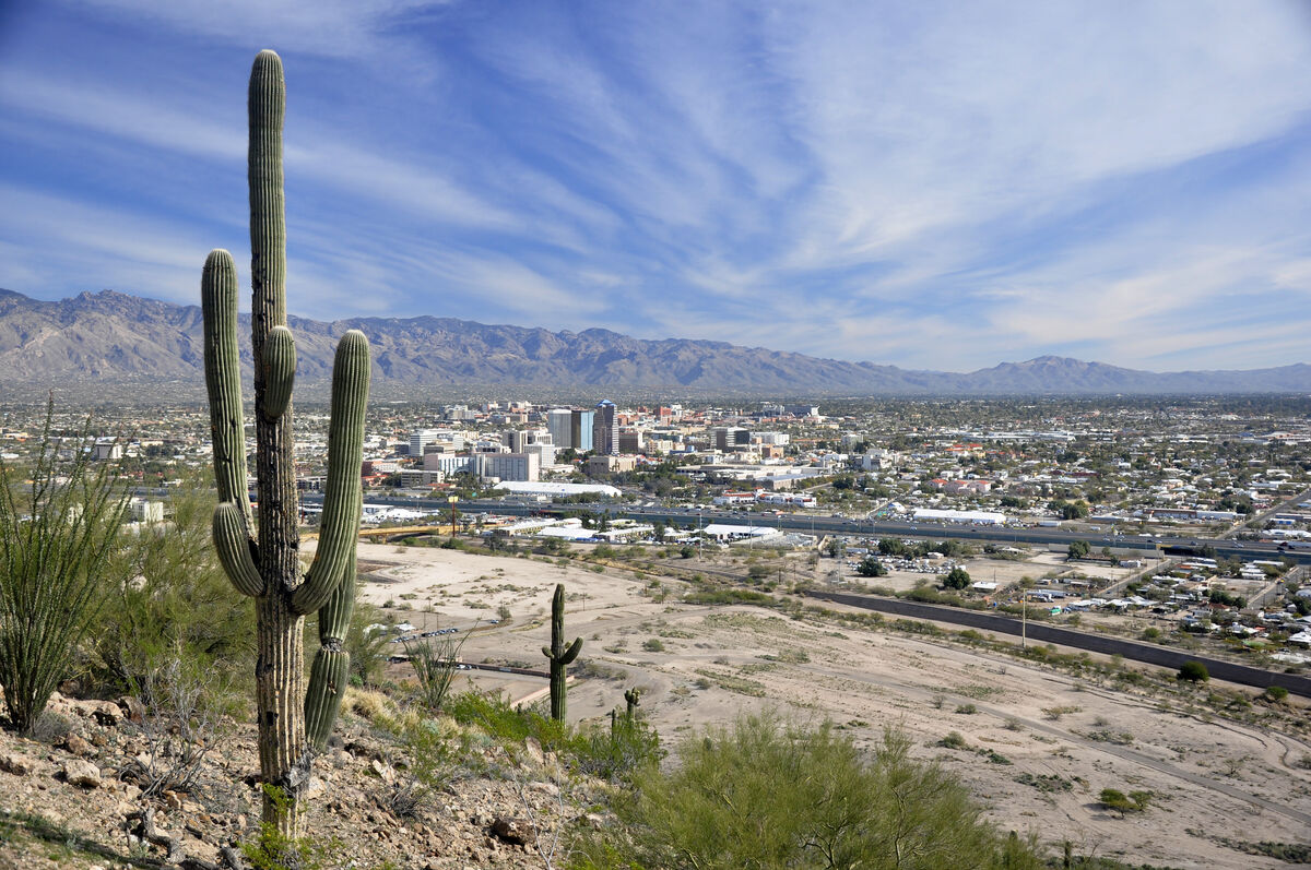 Saguaro, overlooking Tucson...