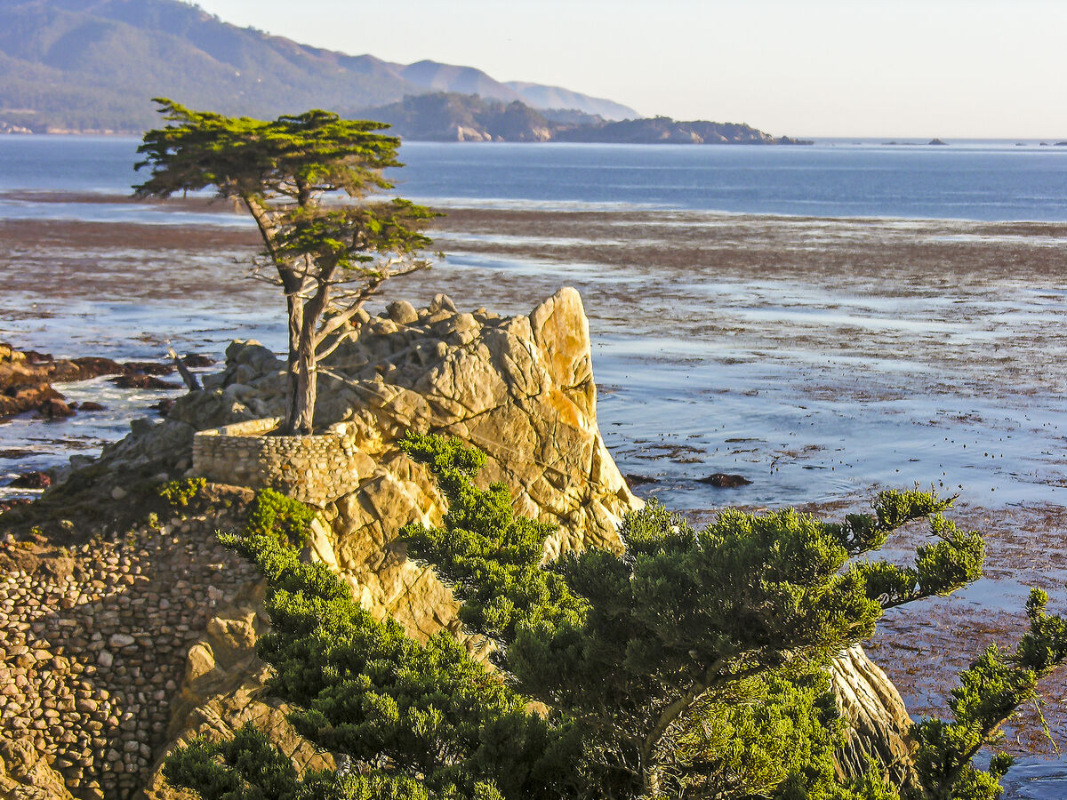 Lone Cypress, Monterey...