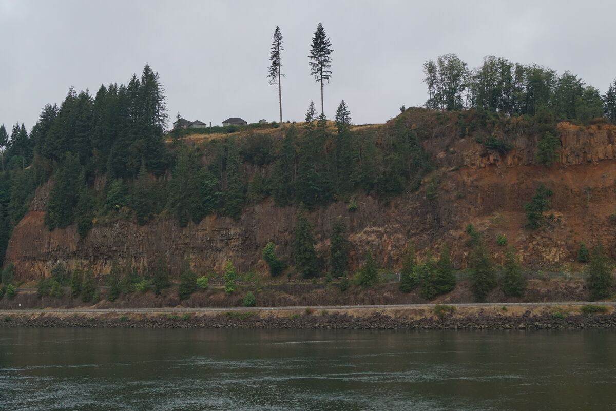 A couple of sentinals along the Columbia River....