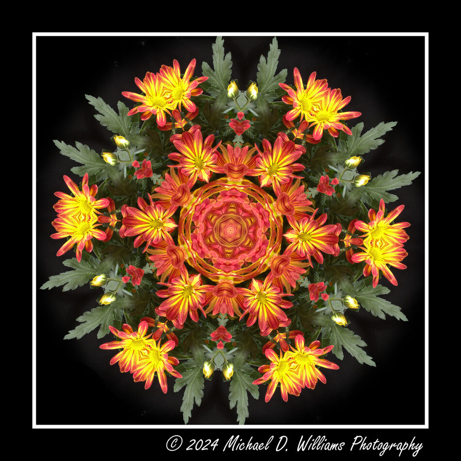 Kaleidoscope "Bunch of Flowers" shot in November....