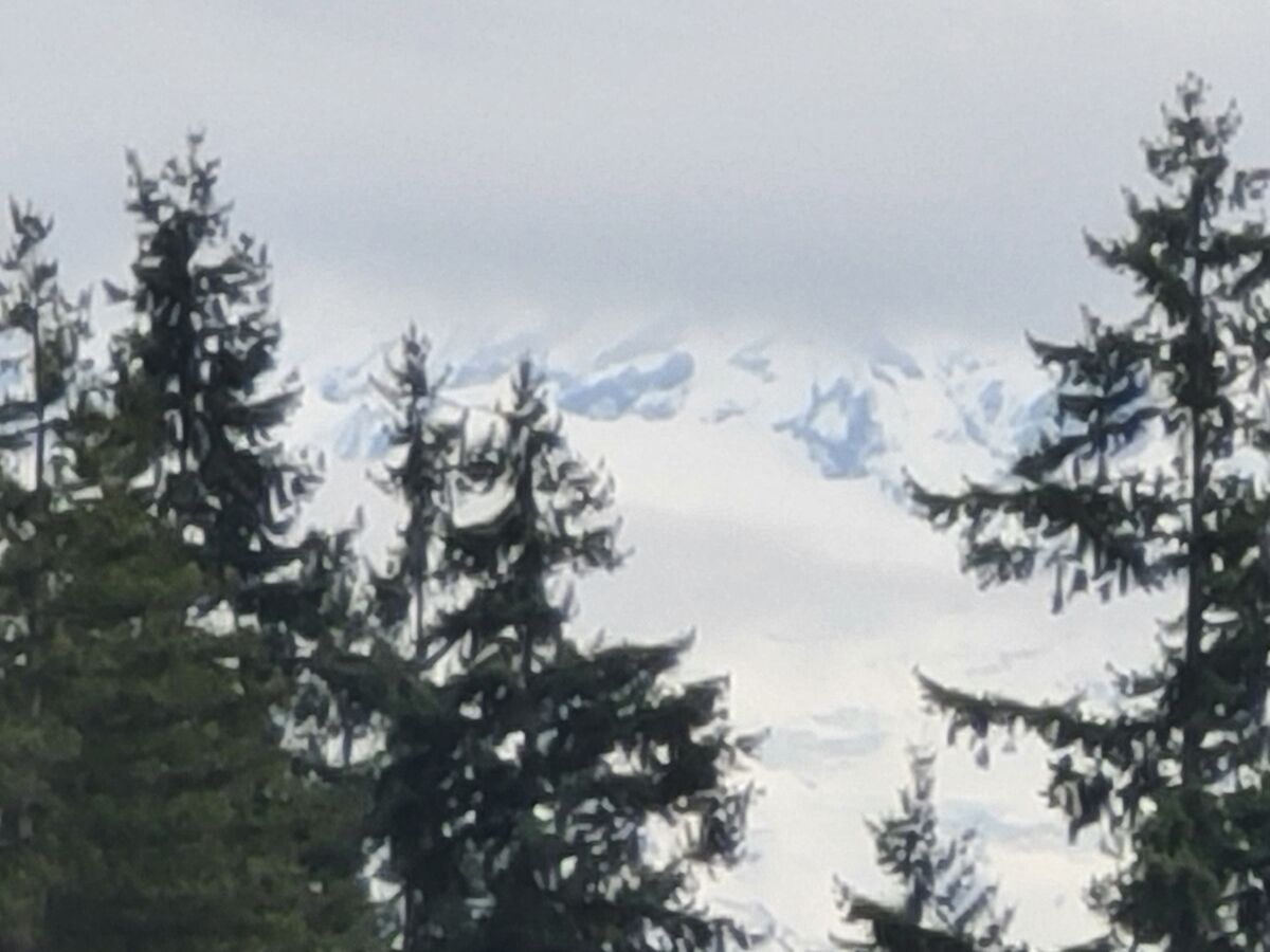 Mt Rainier viewed this afternoon. Those clouds mov...