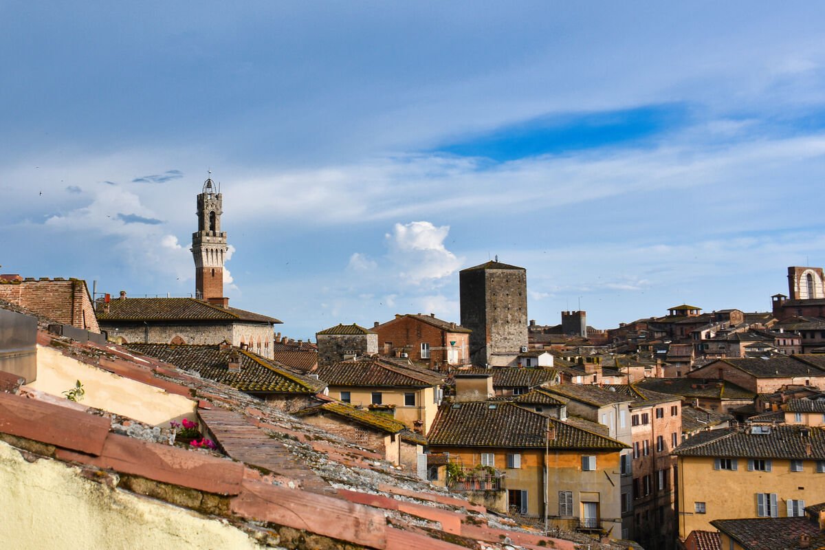 The Torre del Mangia above the rooftops...