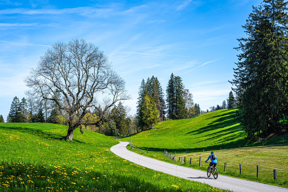2 - Zug - A bicyclist enjoying the fresh spring ai...