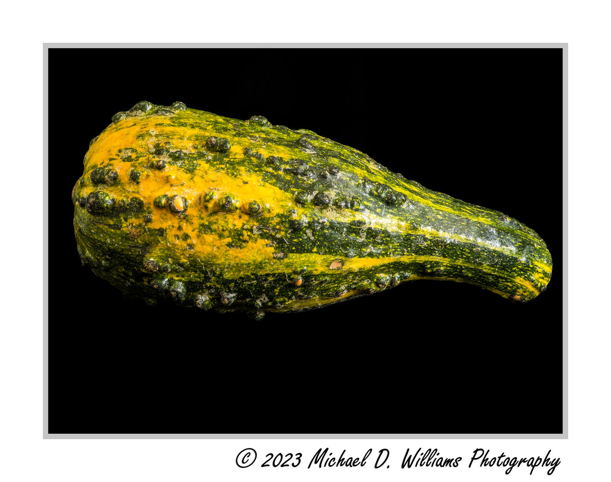 Plus This Straight Photograph Of The Squash / Gour...