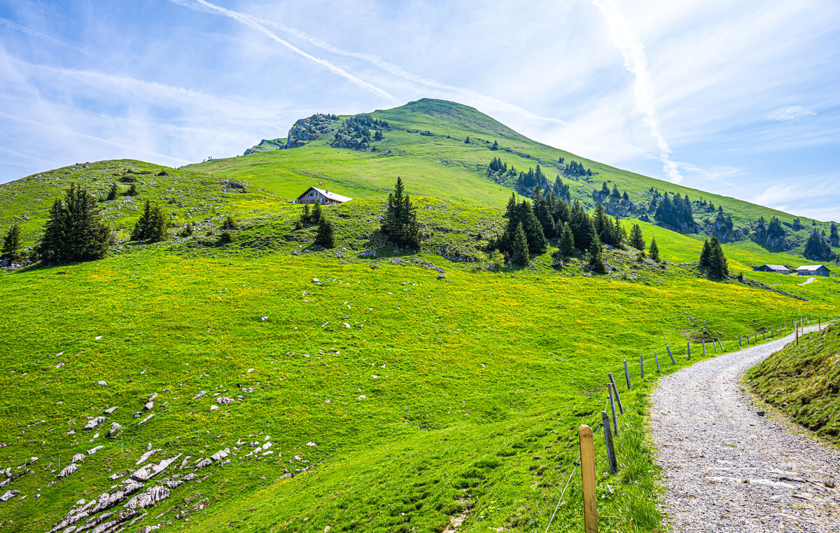 5 - Nidwalden/Emmetten - On the gravel road to Alp...