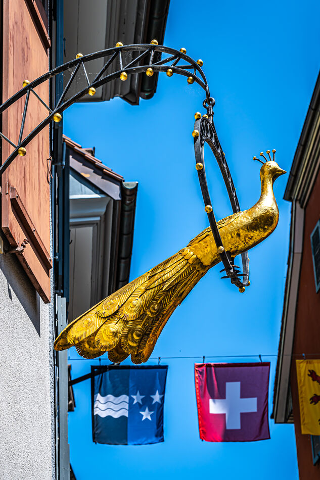 10 - Aargau/Laufenburg - Sculpture of a golden pea...