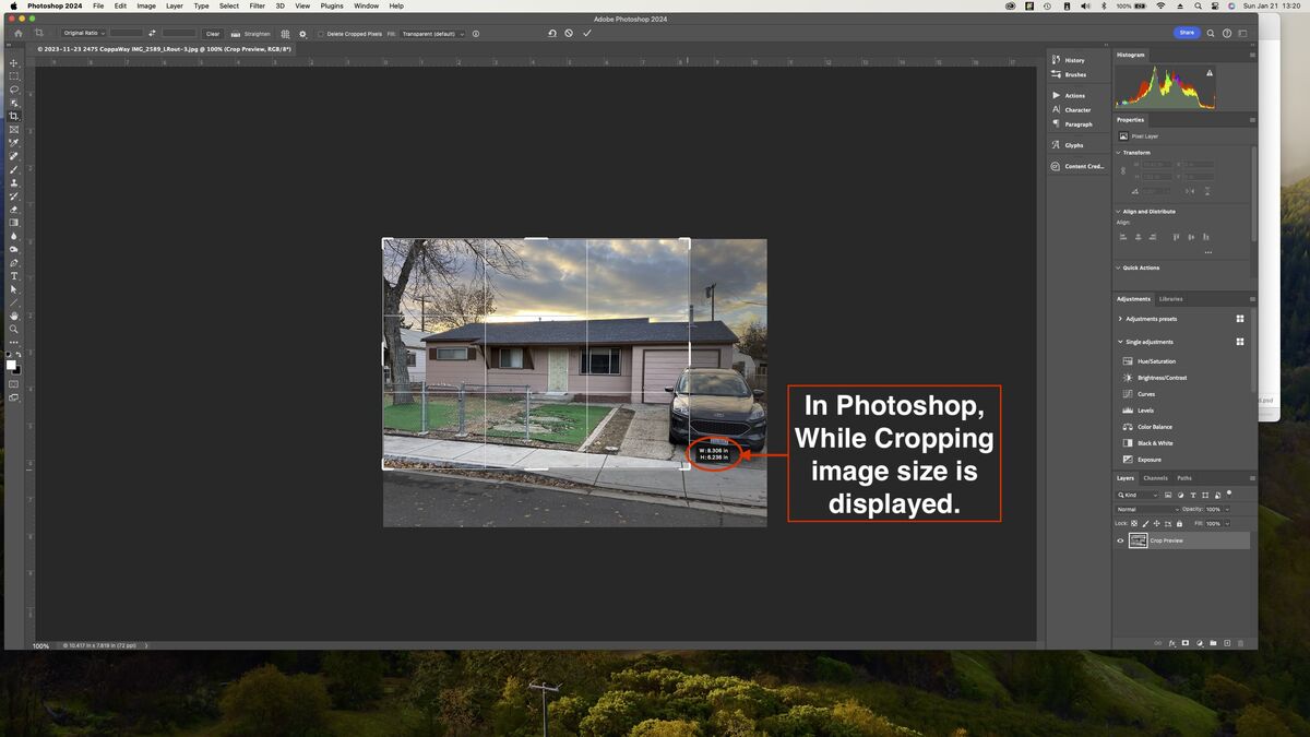 Using Photoshop the new image size is displayed an...
