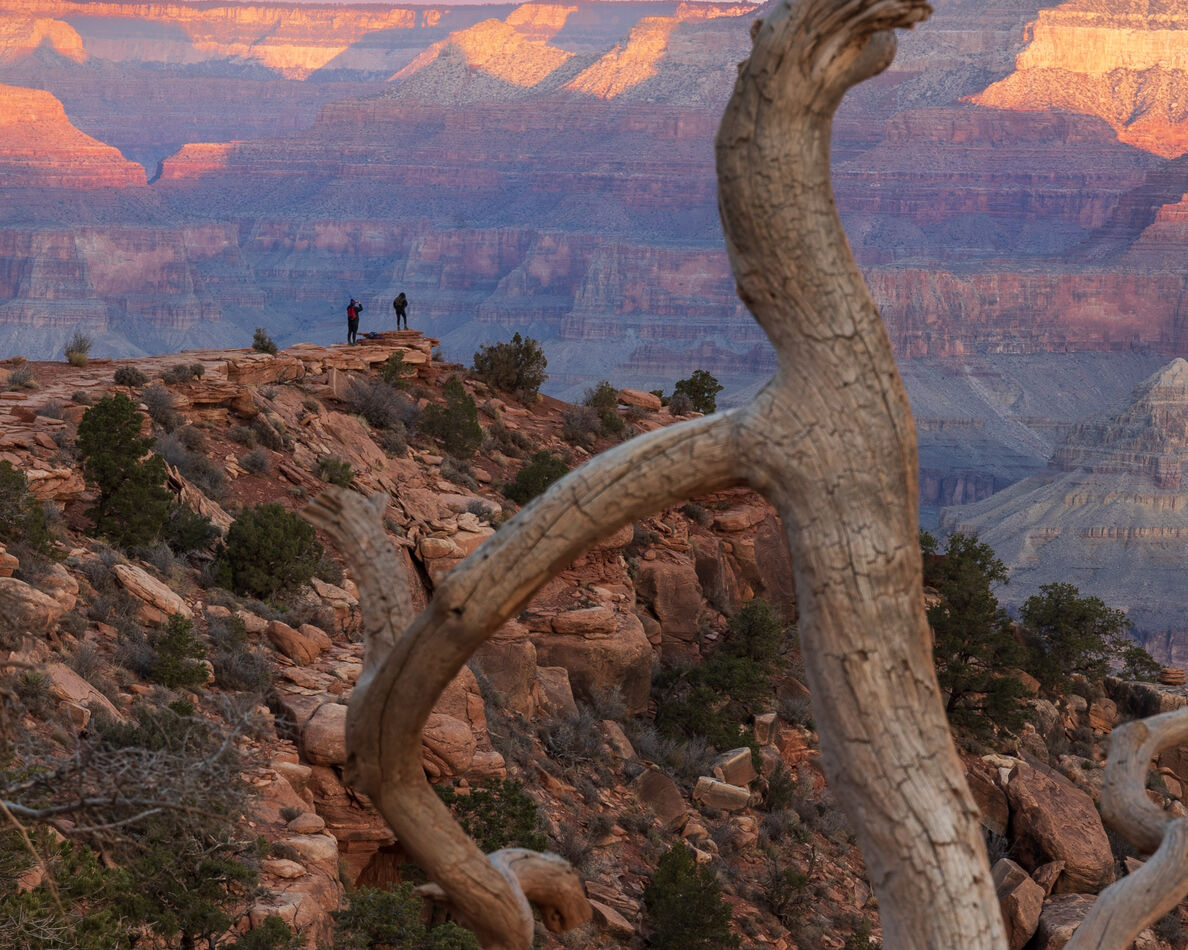 cedar ridge: I hiked off into the Grand Canyon to take some sunrise ...