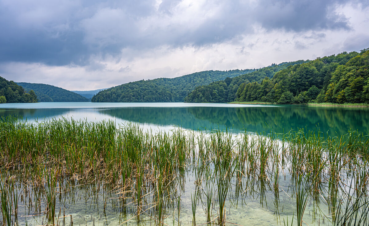 1 - Lika-Senj County/Plitvice Lakes National Park/...