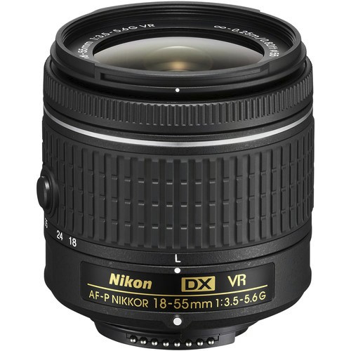 this AF-P Nikkor will NOT work on a Nikon D300...