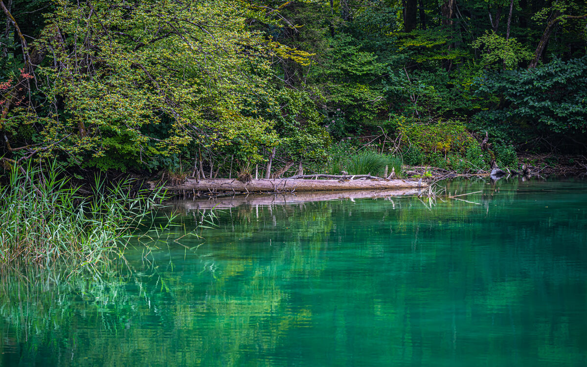 2 - Croatia/Plitvice Lakes National Park - Dreamy ...