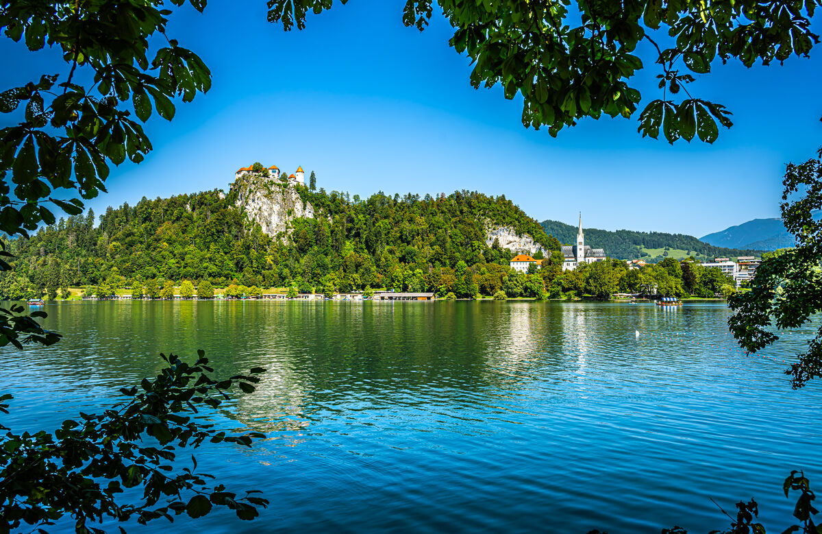 4 - Slovenia/Upper Carniola/Bled - Bled Castle (bu...
