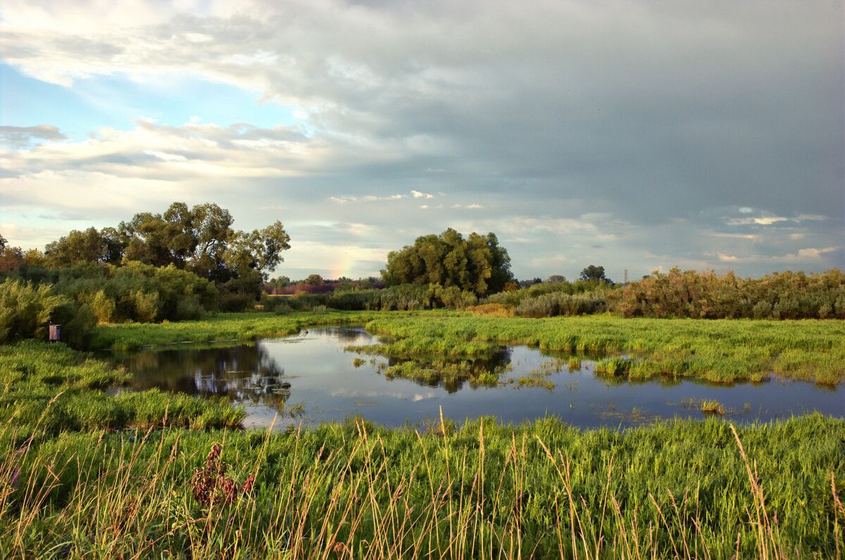 kingsbury fish wildlife shooting range        
        <figure class=