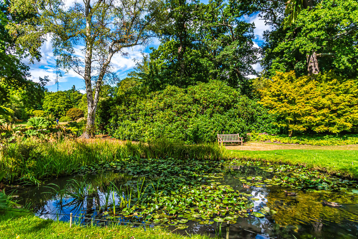 10 - Surrey/Egham - Small pond at Savill Garden, a...