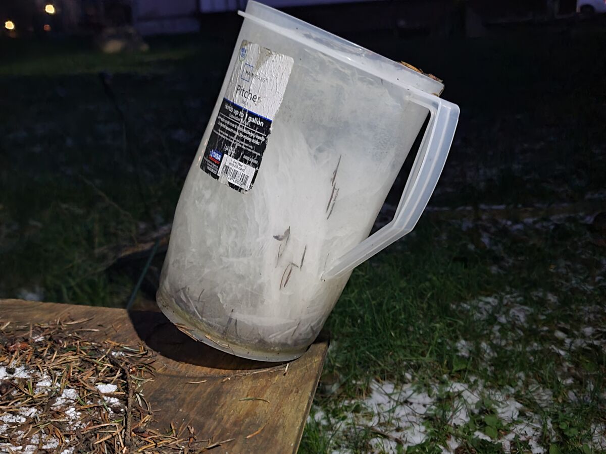 "Leaning Tower of Pitcher" a frozen oddity....