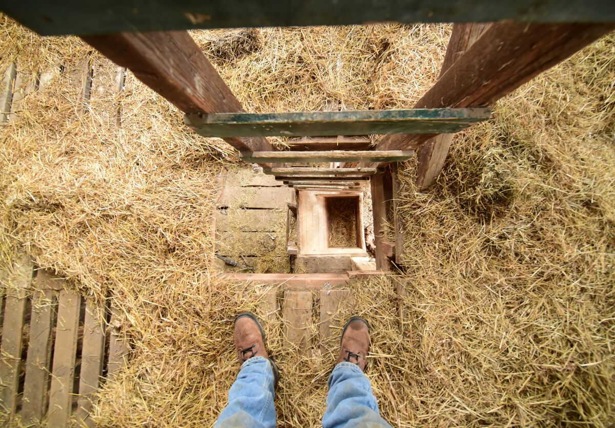 Looking down through the "mow hole" where the hay ...