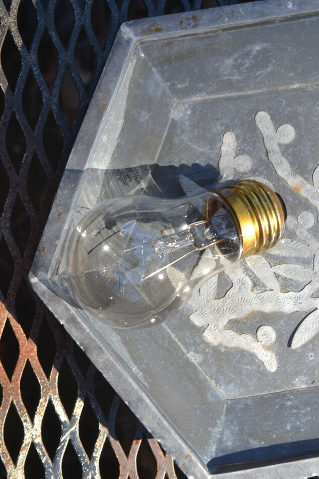 spam freedom (Page 11) my word for it...