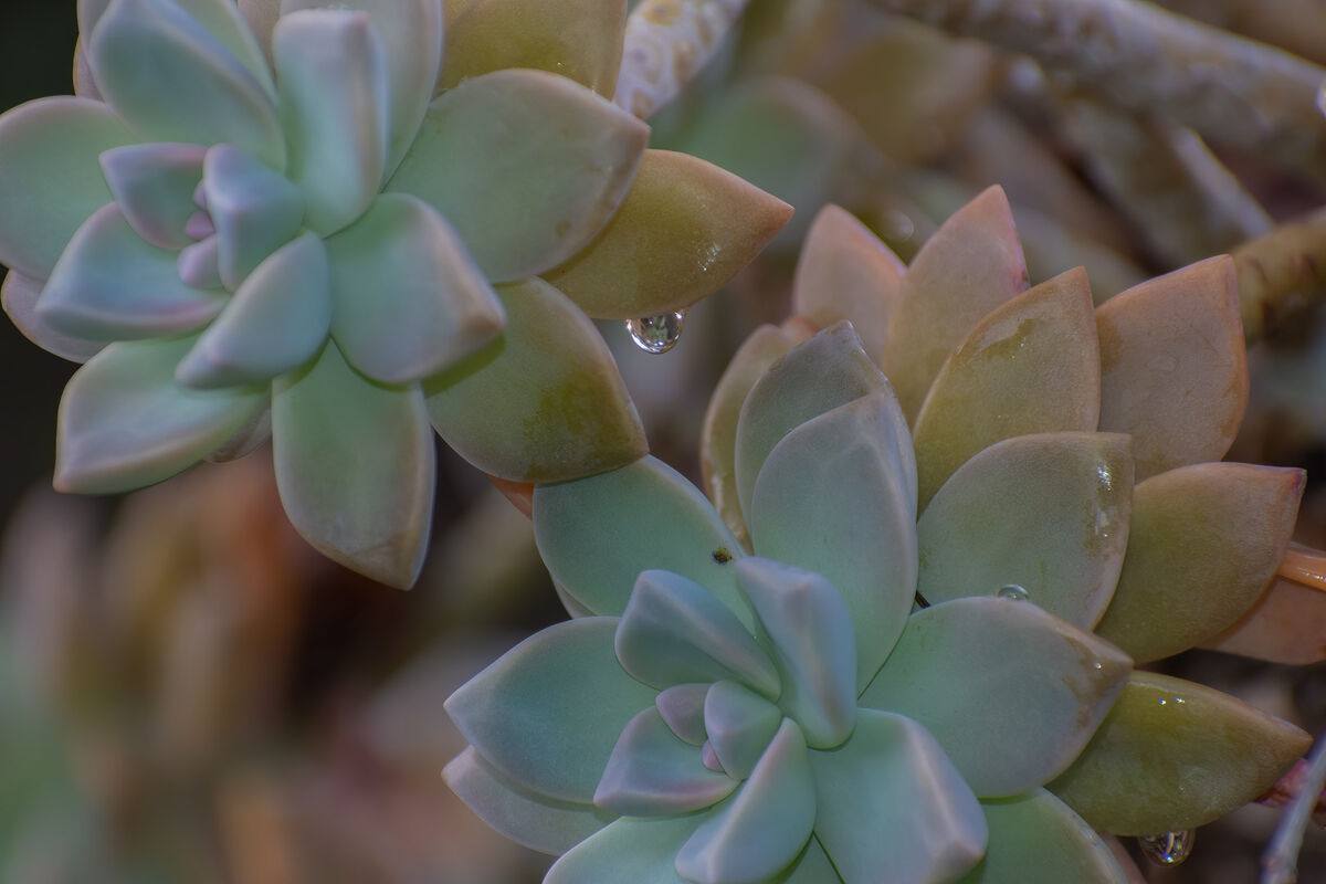 Water droplet reflections...