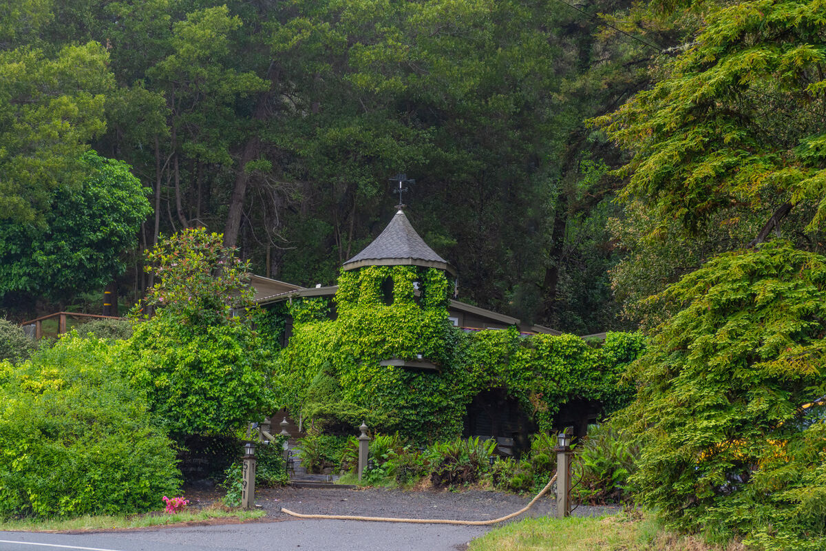 A house In Mendocino area with moss and Ivy taking...