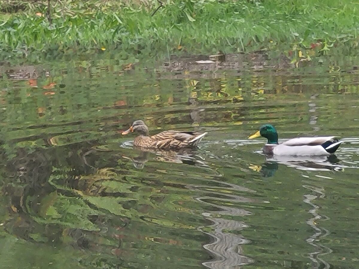 Another update! I've been busy with posts in other places. It's time