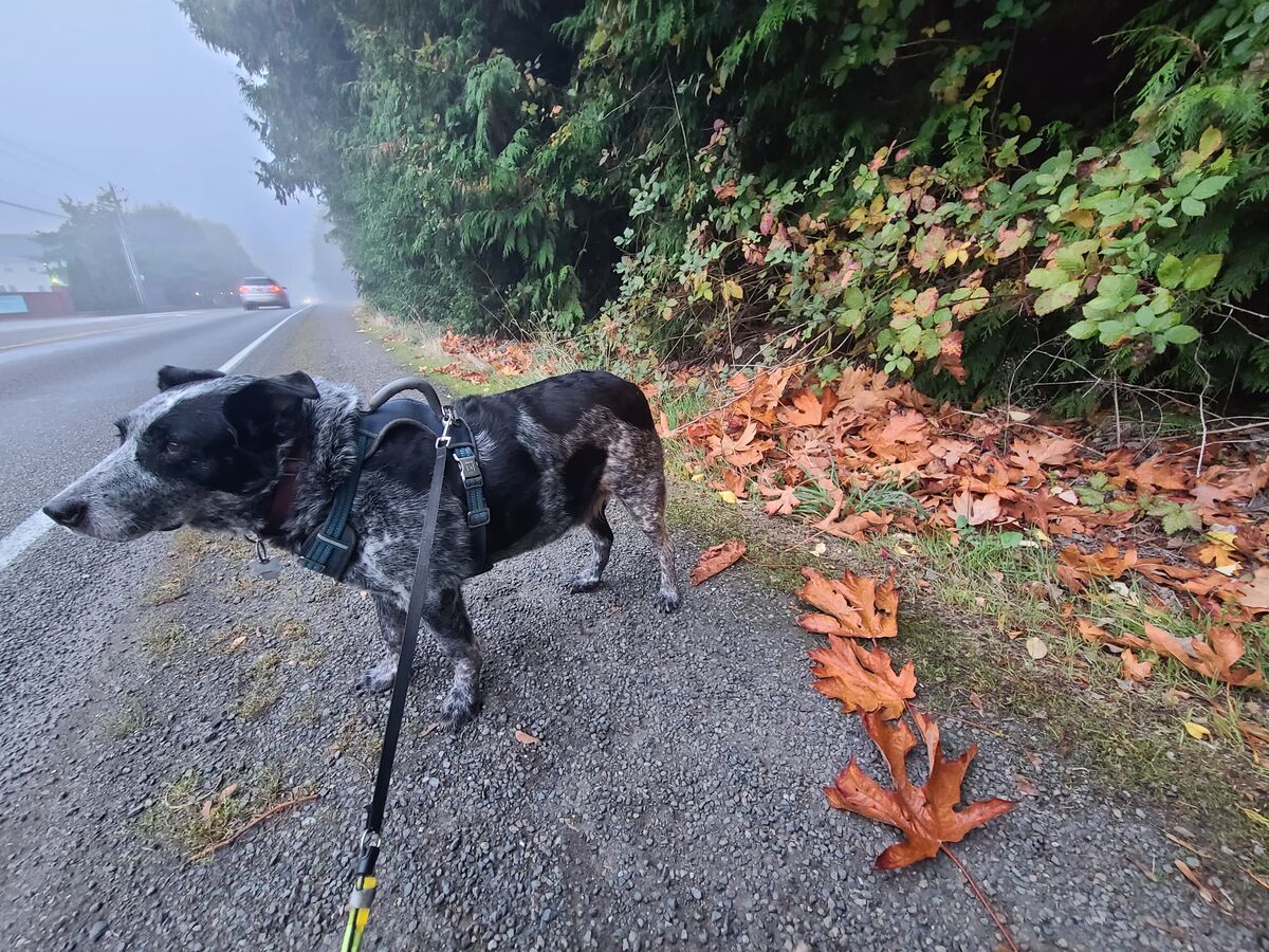 Another update! I've been busy with posts in other places. It's time