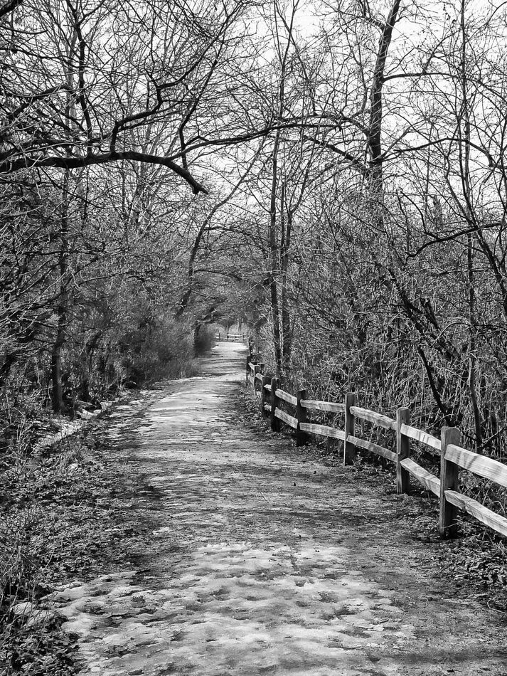 🖤🩶🤍🩶🖤: I am starting to love monochrome more every day :sm24: :sm24 ...