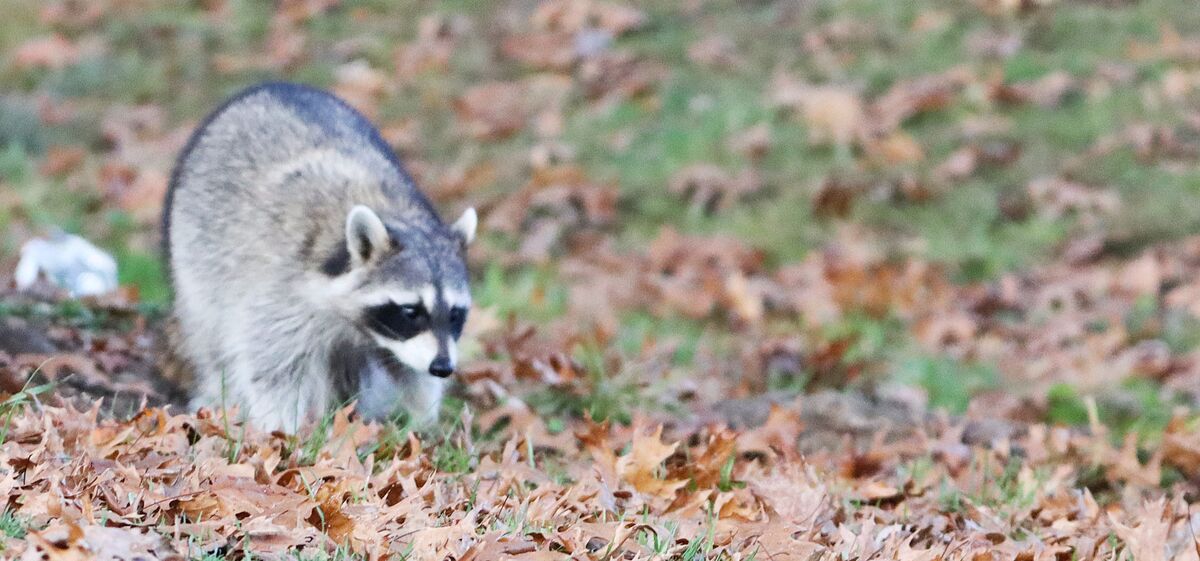 Excuse me, just passing through! As I was working with my guys up in ...
