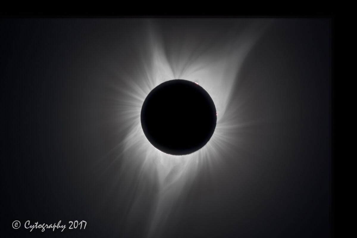 My composite total eclipse image from the 2017 ecl...