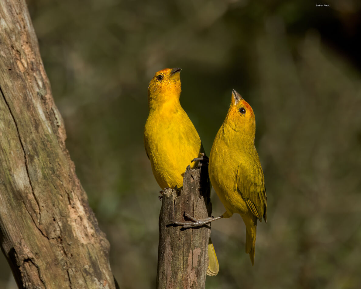 How many frames per second do you need? Part 2 When someone is