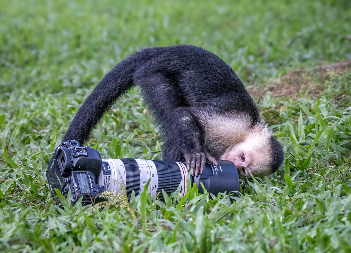 Looks like the lens cap is off......