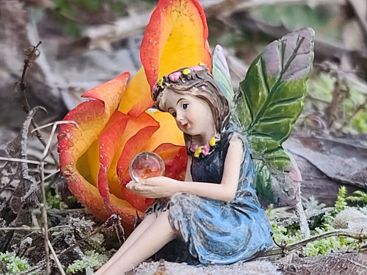 Mystic Fairy by a discarded flower....