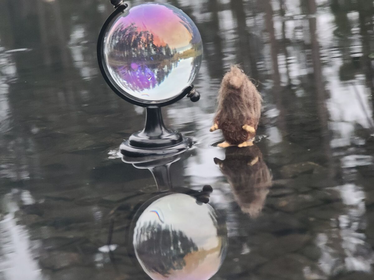 Bigfoot and my crystal globe with reflections....