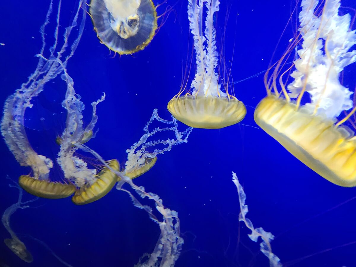 Another Point Defiance Zoo and Aquarium photo....