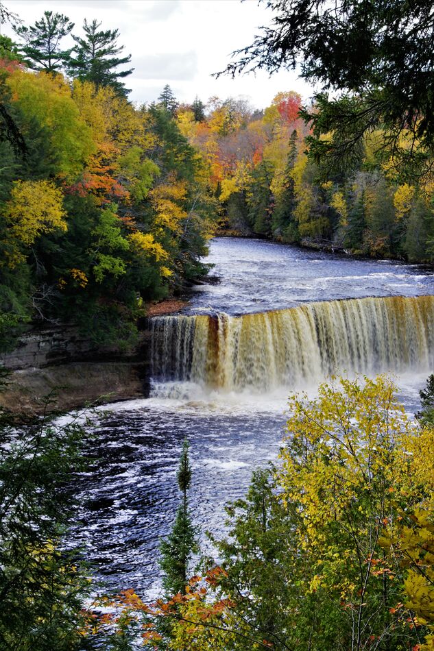 Tahquamenon Falls, UP Michigan.  The brown is from...