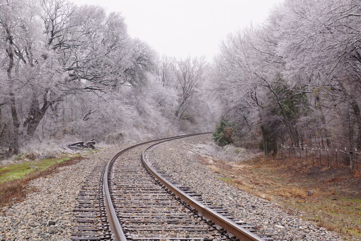 About four miles from my house the tracks led thro...