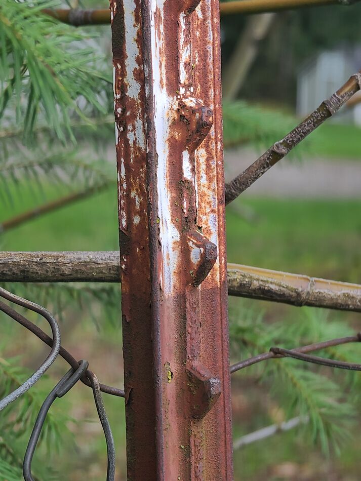 Rusty fence post....