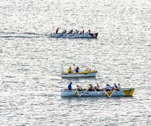 Rowing practice in the Livorno harbor...
