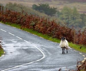 The road along Loch Na Fooey, IR...