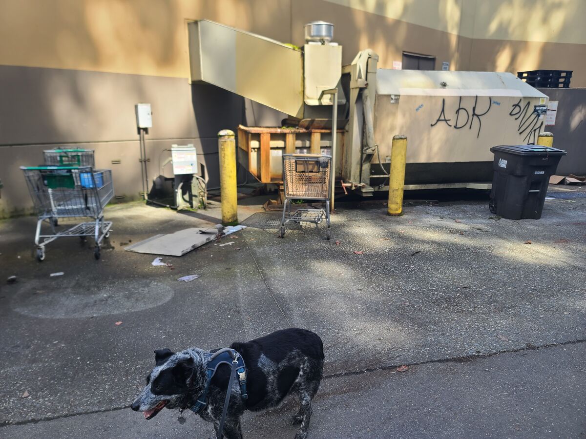 Trash compactor behind a store. Wide angle view wi...