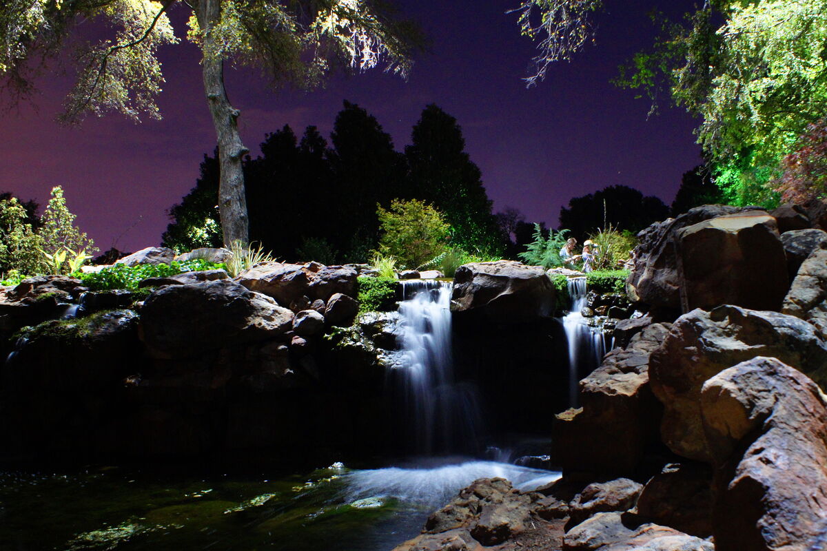 Rare night time shot at the Dallas Arboretum.  The...