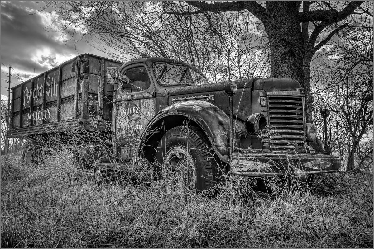 Just an old truck under an old tree...