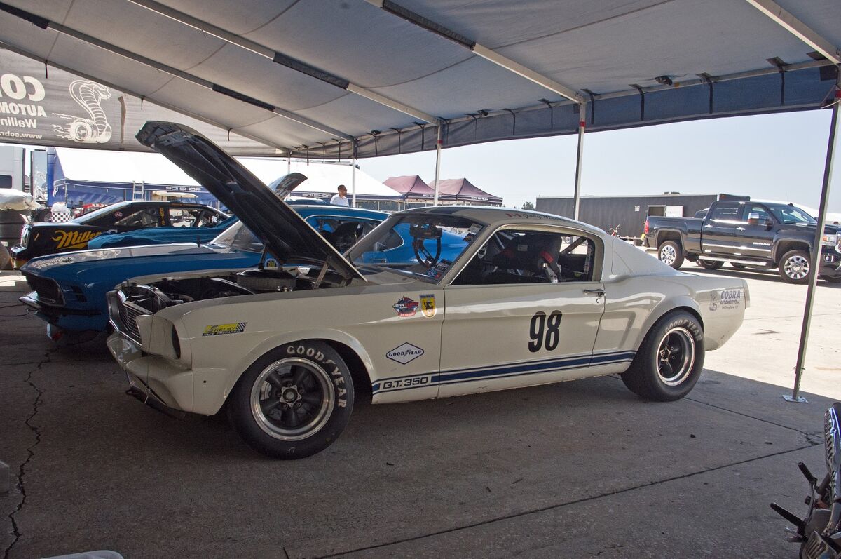 Vintage Mustang GT 350 Race Car...