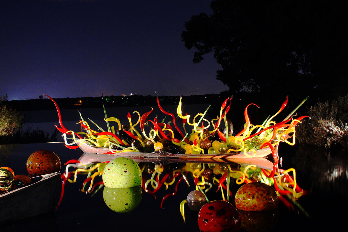 Chihuly at night at the Dallas Arboretum.  White R...